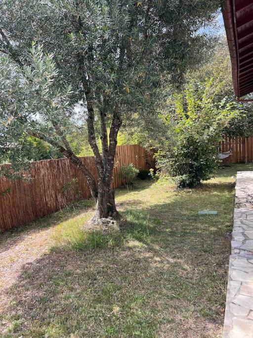 Agreable Maison Landaise Proche Du Lac Sanguinet Exterior foto