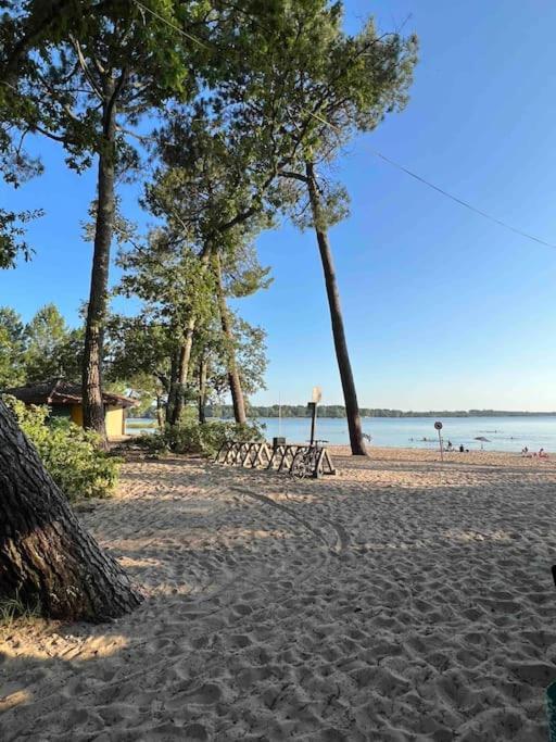 Agreable Maison Landaise Proche Du Lac Sanguinet Exterior foto
